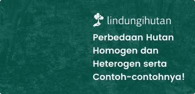 Pengertian Hutan Homogen dan Heterogen, Ciri-ciri dan Contoh-contohnya